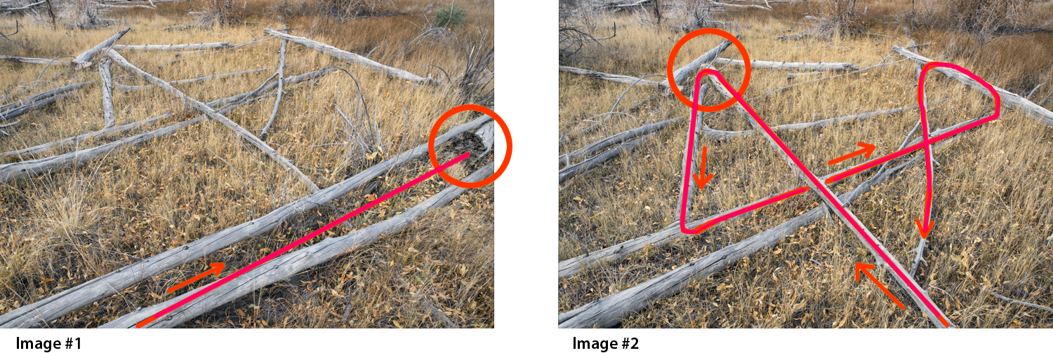 Examining which image has the strongest way of seeing