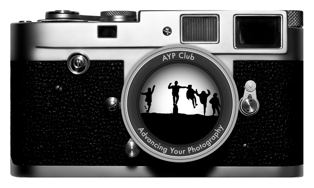 AYP Club logo where you can submit photos for Critique