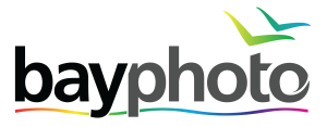 BayLogo_Alt-2_LtBkGd_RGB.png